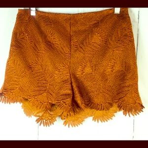 Ecote Urban Outfitters brown lace shorts